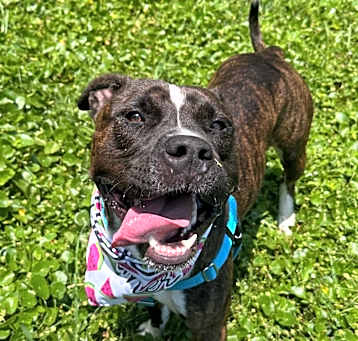 Photo of Jax