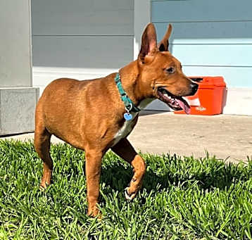 Photo of Ridoc