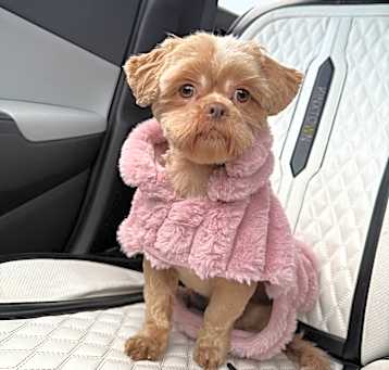 Photo of Nala