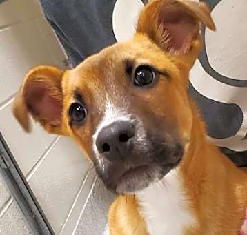 Photo of Little G