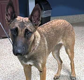 Photo of SONYA