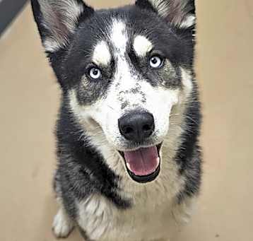 Photo of Ren