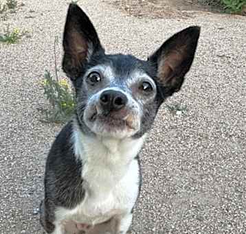 Photo of Ernie
