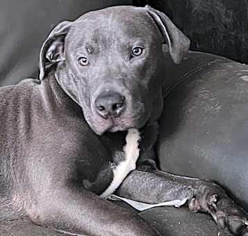 Photo of Charlie Brown