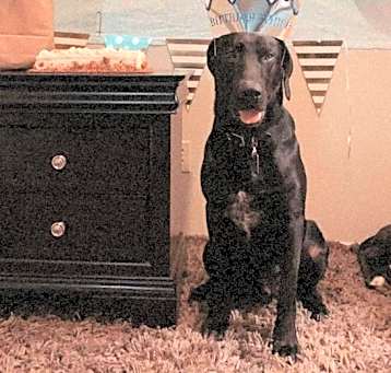 Photo of Walter