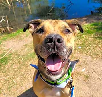 Photo of SCOOBY