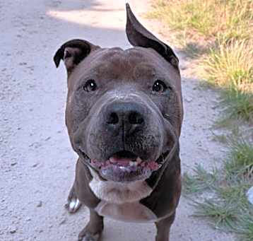 Photo of Bronx