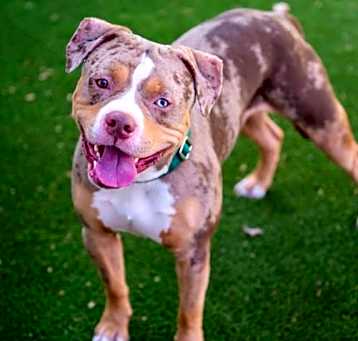 Photo of Stretch
