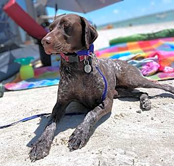 Photo of Chocolata