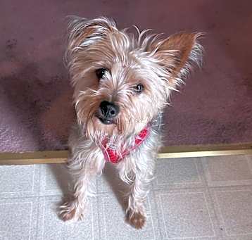 Photo of Murphy