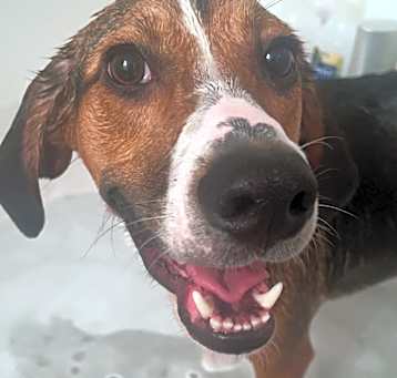 Photo of Bruce