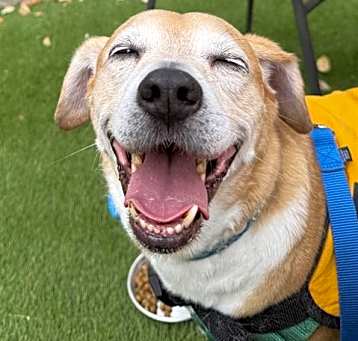 Photo of TATER
