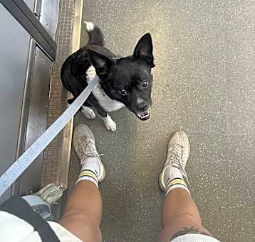 Photo of Roo