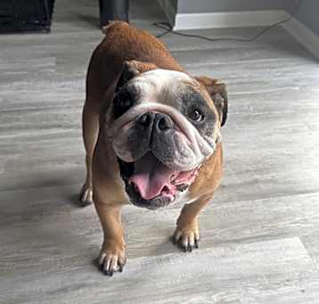 Photo of Bruce