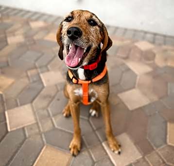 Photo of Maggie