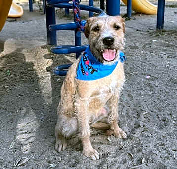 Photo of Charly