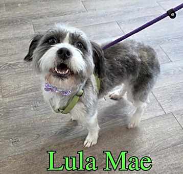 Photo of Lula Mae
