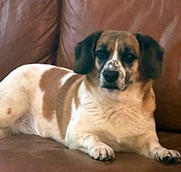Photo of Moxie