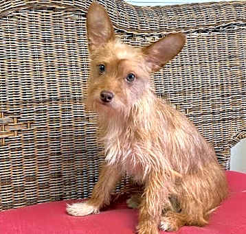 Photo of mia