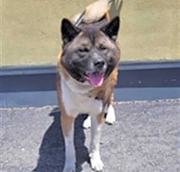 Photo of TOBY