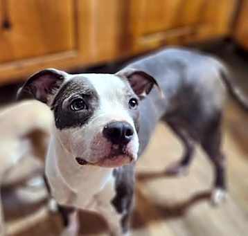 Photo of Neo