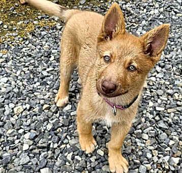 Photo of Greta