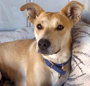 Photo of Nellie