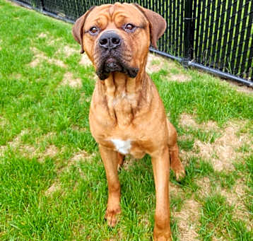 Photo of Sheriff