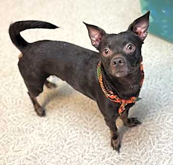 Photo of Cisco
