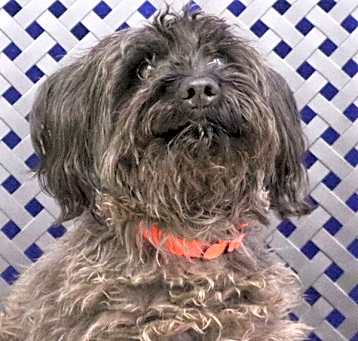 Photo of Jonah