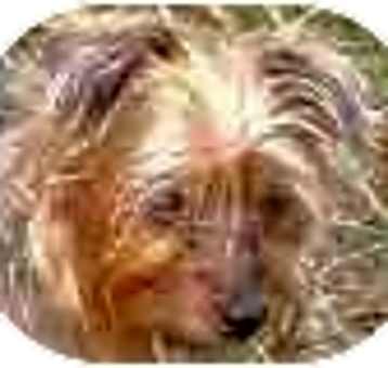 Photo of Jasper