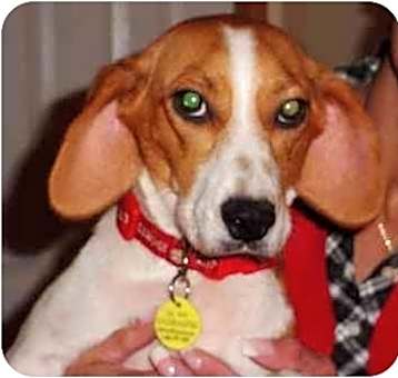 Photo of Tabitha