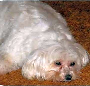 Photo of Sophie