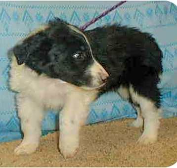 Photo of Tootsie