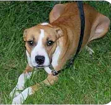Photo of HEIDI-SPAYED