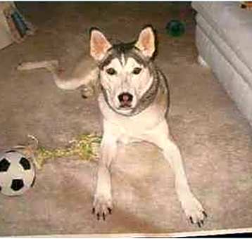 Photo of Emmy Lou