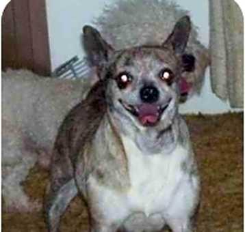Photo of Nutmeg