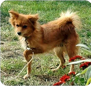 Photo of Punkin
