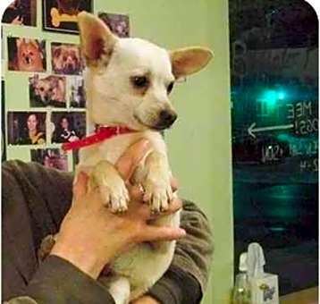 Photo of Taco