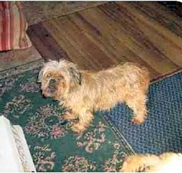Photo of Roxie