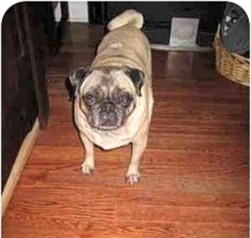 Photo of Wendy