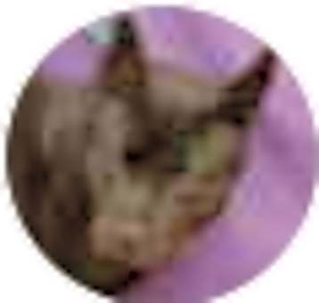 Photo of Julio
