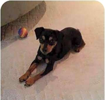Photo of Maggie