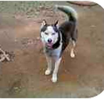 Photo of Max