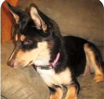 Photo of Blu