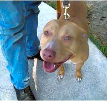 Photo of Sweetie