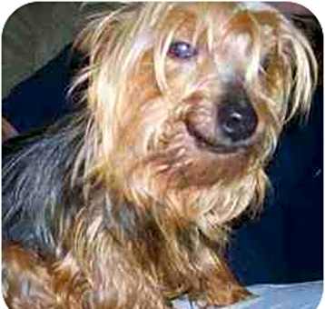 Photo of GYPSY