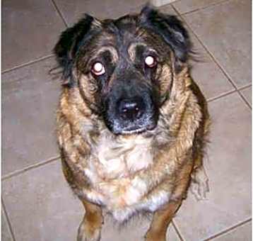 Photo of Keesha