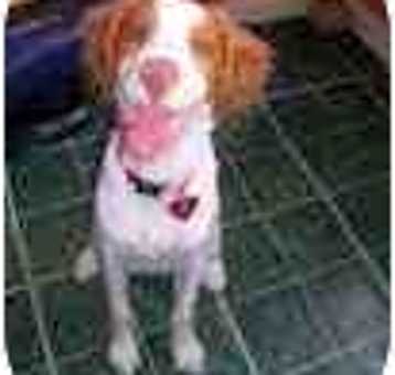Photo of Bridgette