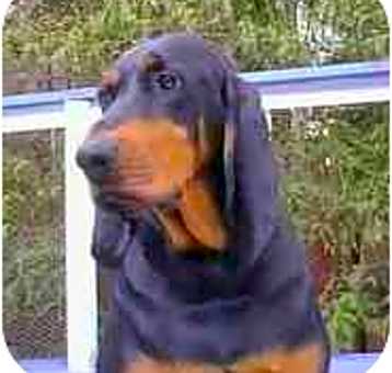 Photo of Molly